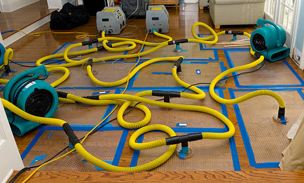 Professional Basement Flood Cleanup technician working in Kinards, SC